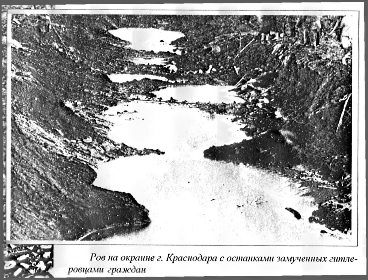 Канал об истории Новотитаровской: или как казаки создали легенду Кубани