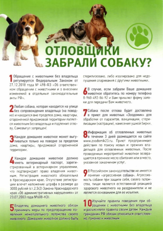 Собаки 2