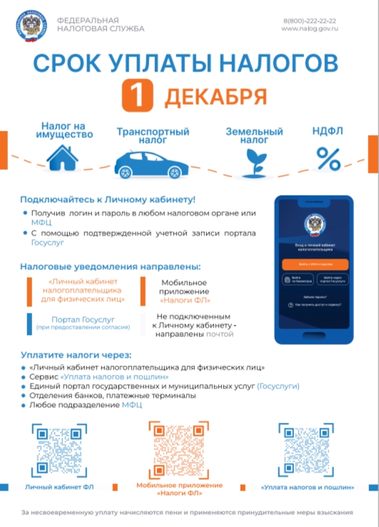 Что делать, если налоговое уведомление не получено?