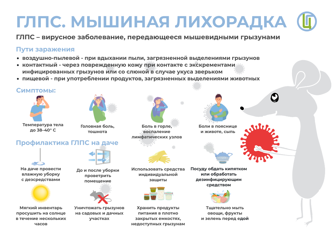 Мышиная лихорадка (ГЛПС): как защититься