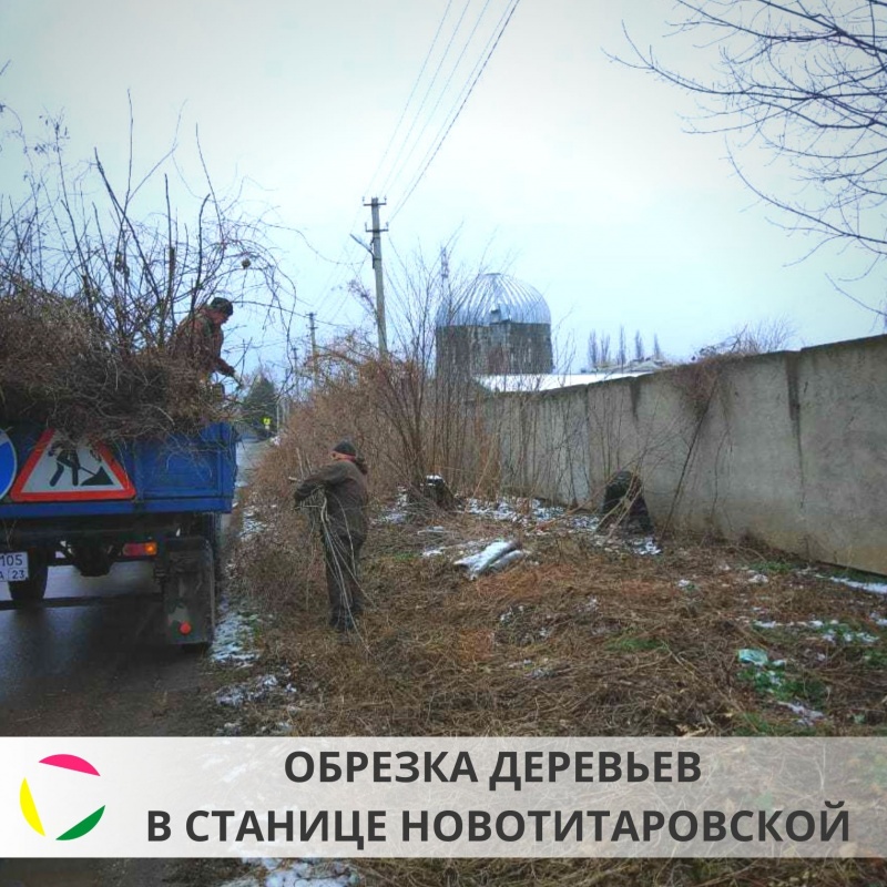 Обрезка деревьев в пос. Южгипрониисельстрой станицы Новотитаровской
