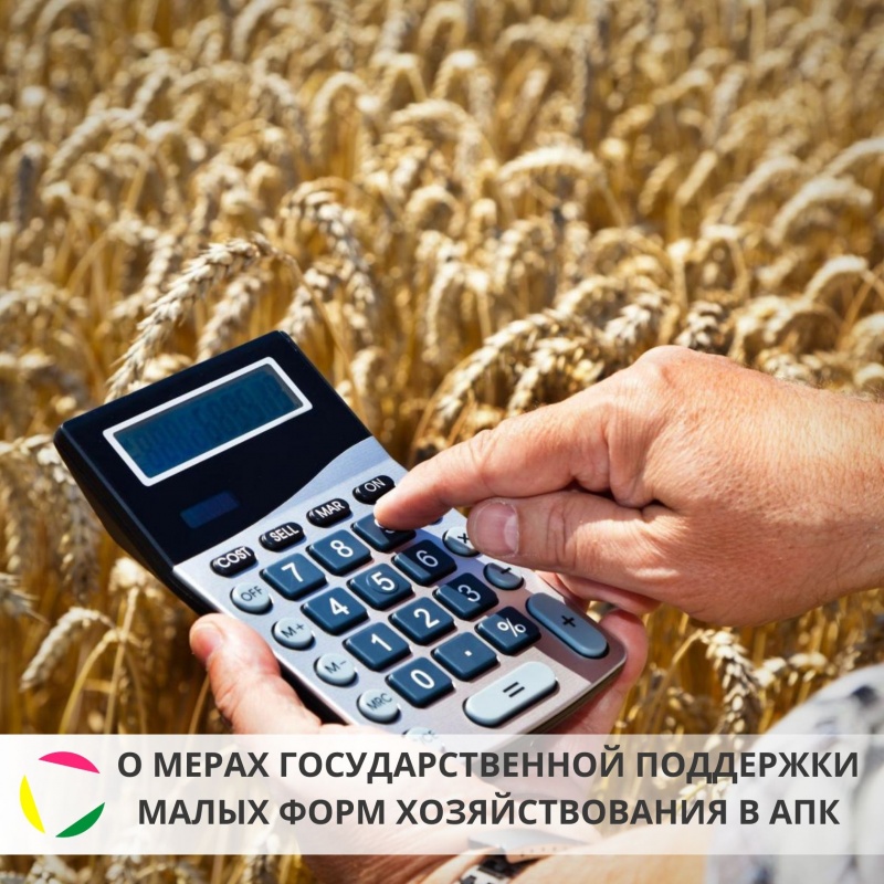 О мерах государственной поддержки малых форм хозяйствования в АПК
