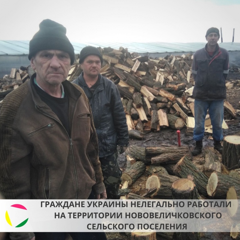 Граждане Украины нелегально работали на территории Нововеличковского сельского поселения.