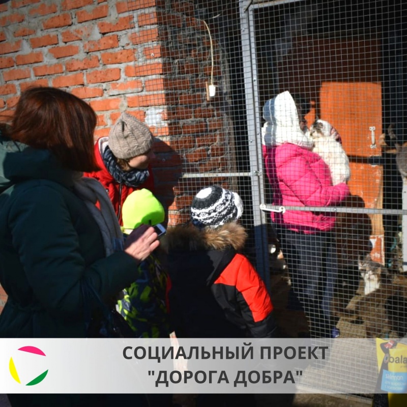 Социальный проект 