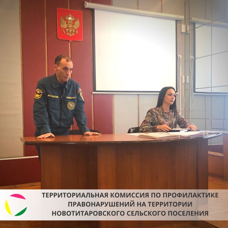 Заседание территориальной комиссии по профилактике правонарушений на территории Новотитаровского сельского поселения