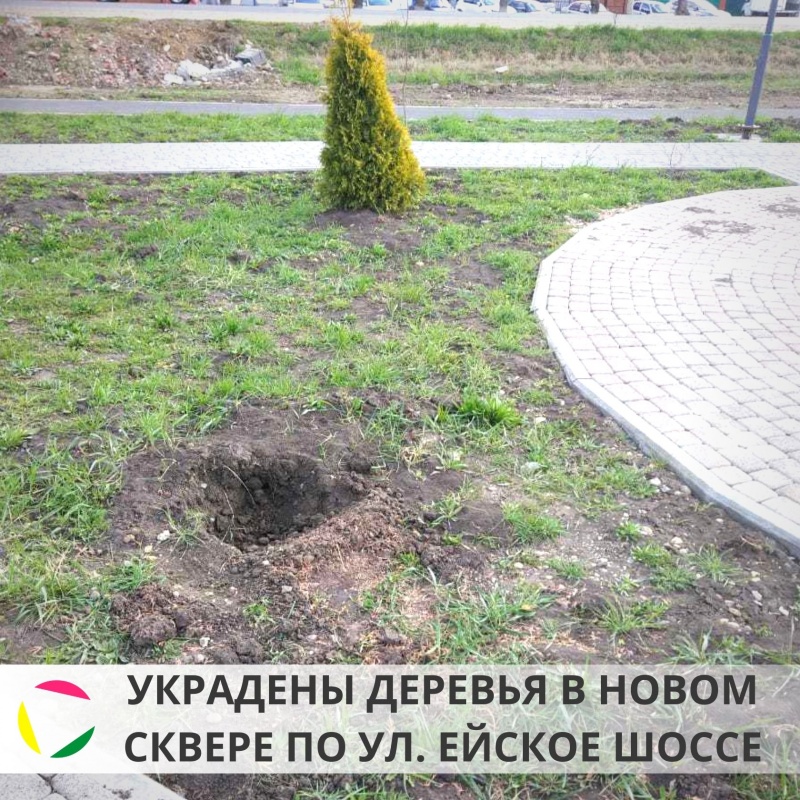 Минувшей ночью в сквере по ул. Ейское шоссе в станице Новотитаровской украли деревья