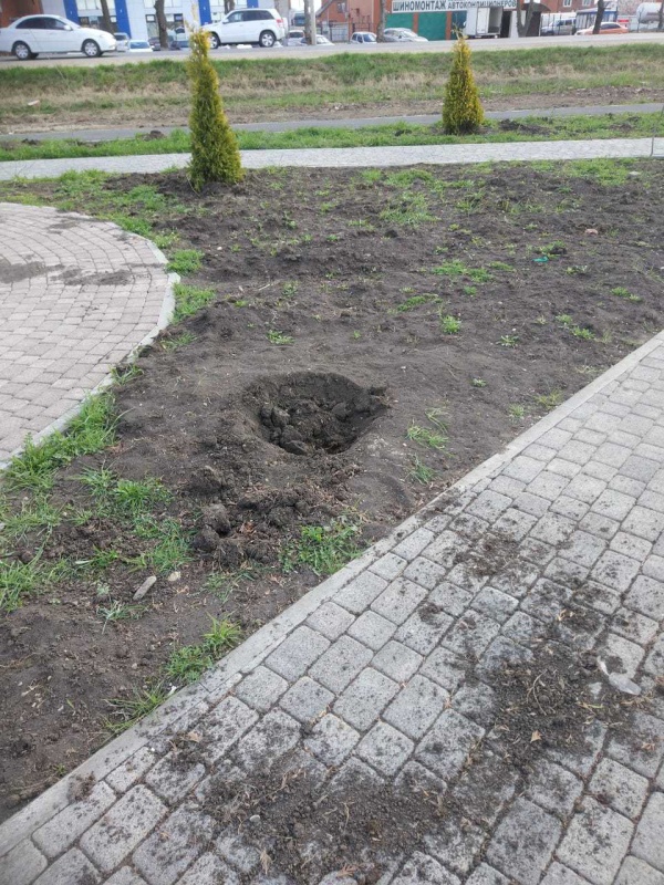 Изображение.jpeg (1)