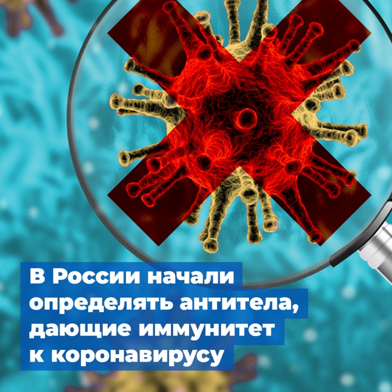 В России начали определять антитела, дающие иммунитет к коронавирусу