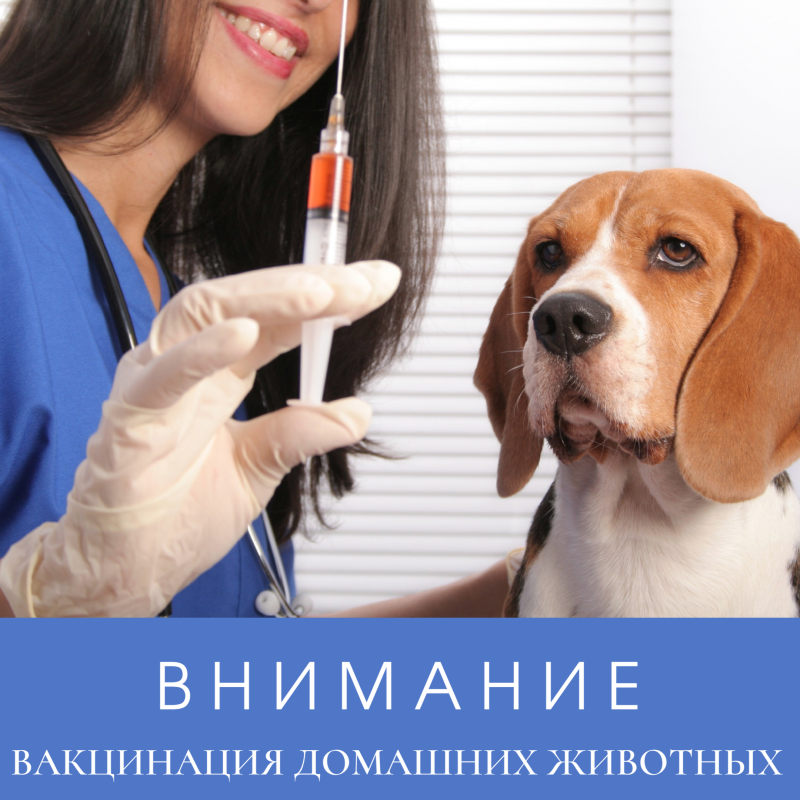 ОбщеРоссийское голосование 1 июля