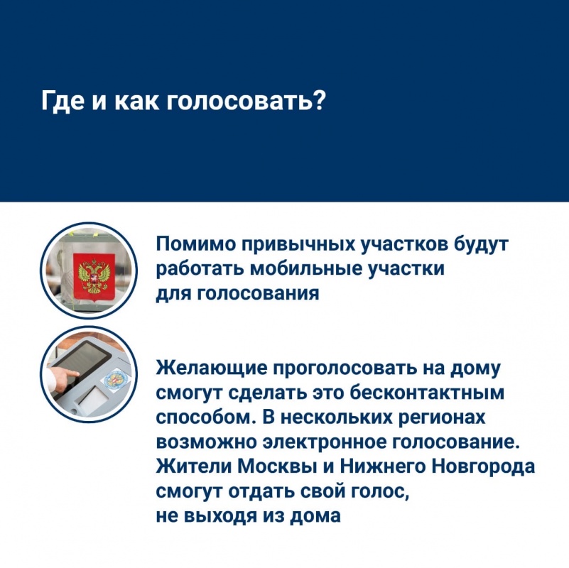 Почему проголосовать по поправкам в Конституцию будет безопаснее, чем сходить в магазин
