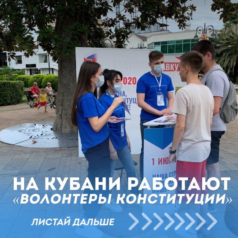 На Кубани работают волонтёры конституции
