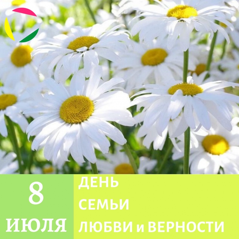 06.07. тренировка спортсменок из ФК «Магнолия»