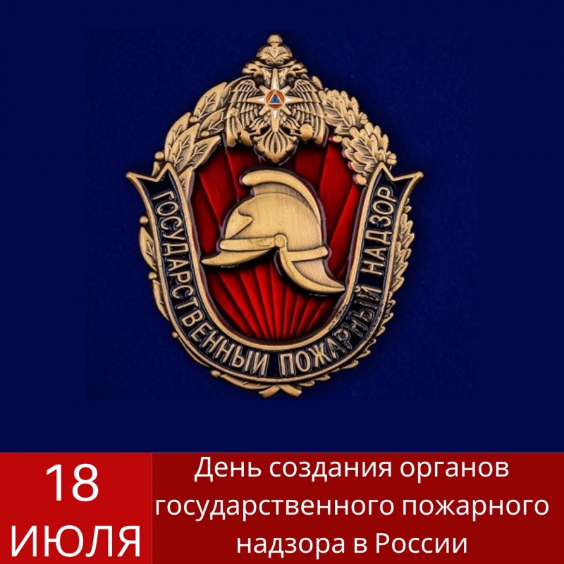 День создания органов государственного пожарного надзора в России⁣⁣