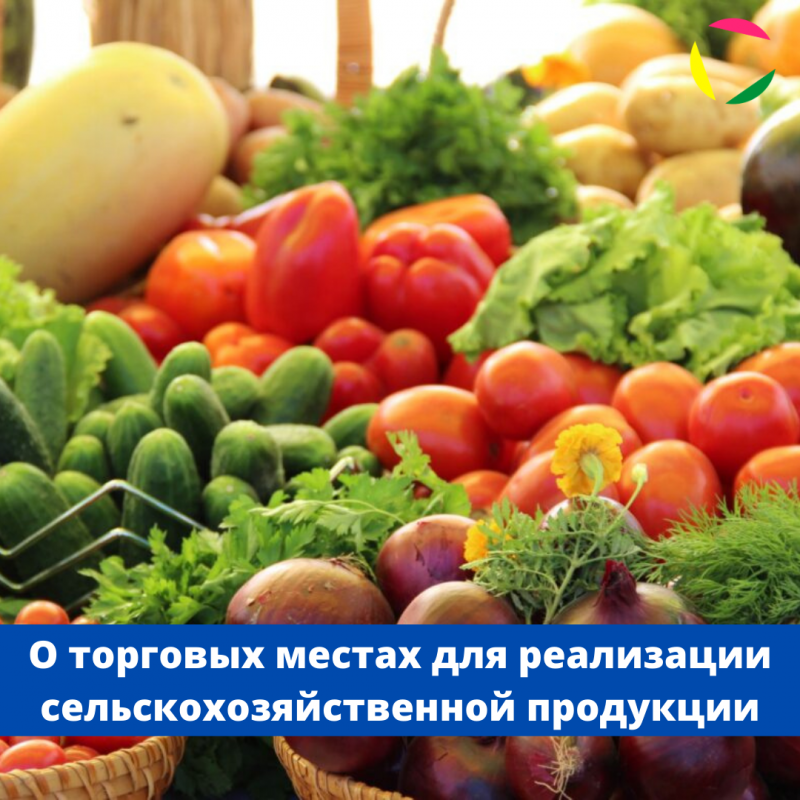 Динамика поступлений доходов в бюджеты сельских поселений Динского района за 9 месяцев 2020 года.
