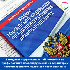 Заседание территориальной комиссии по профилактике правонарушений на территории Новотитаровского сельского поселения № 9