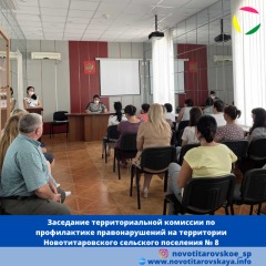 Заседание территориальной комиссии по профилактике правонарушений на территории Новотитаровского сельского поселения № 8