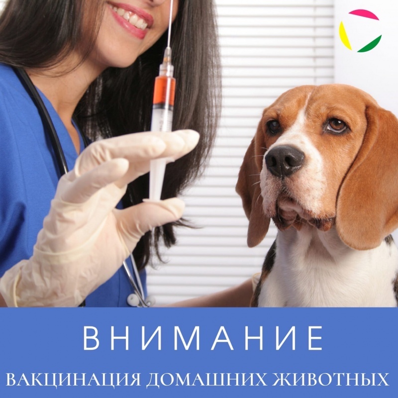                              Уважаемые налогоплательщики!