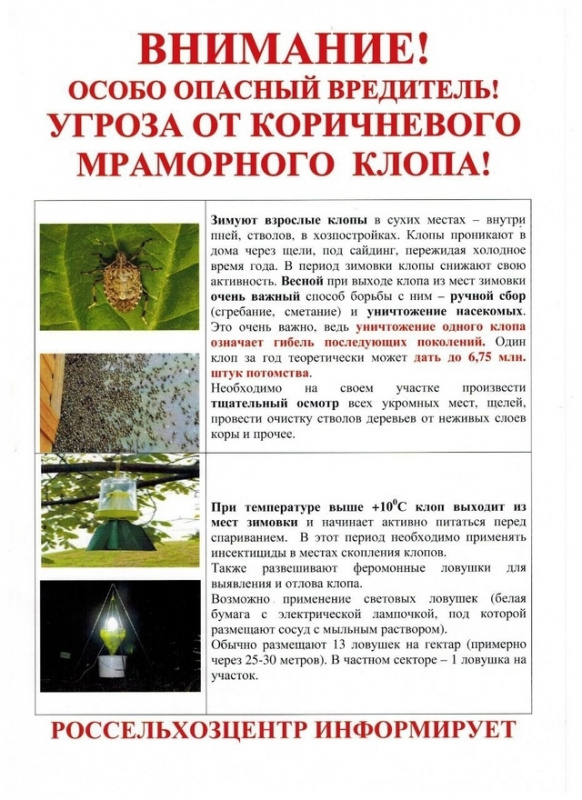 q16OceMz_e9EtCiwf7O2bBFoOr0e1pfxNzmGey_weQY4H9C80BY6hB5vfp5dMV1dGf6KdShintkSxYtS81FSQPhv