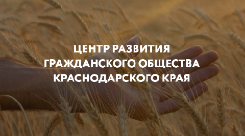 О поддержке некоммерческих организаций Краснодарского края