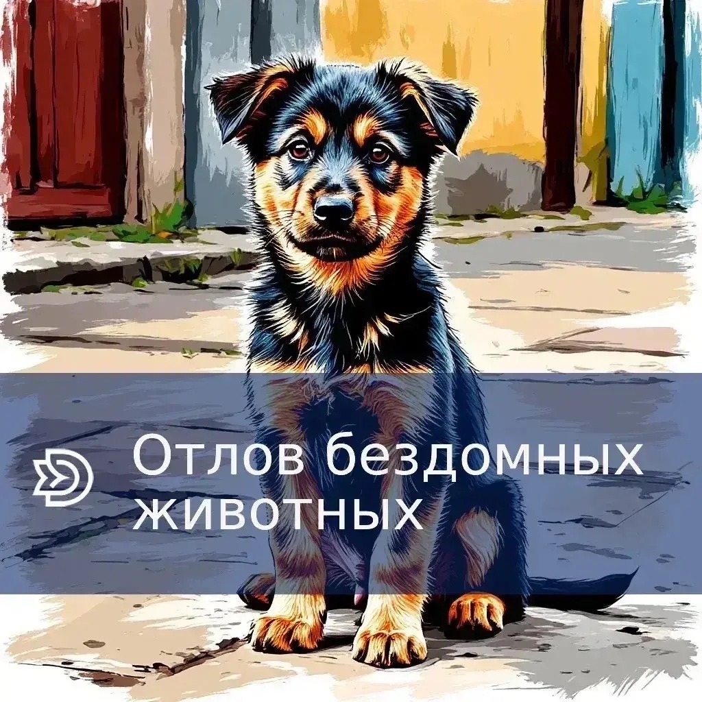 Отлов бездомных животных