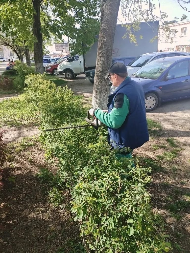 Плановая обрезка кустарников