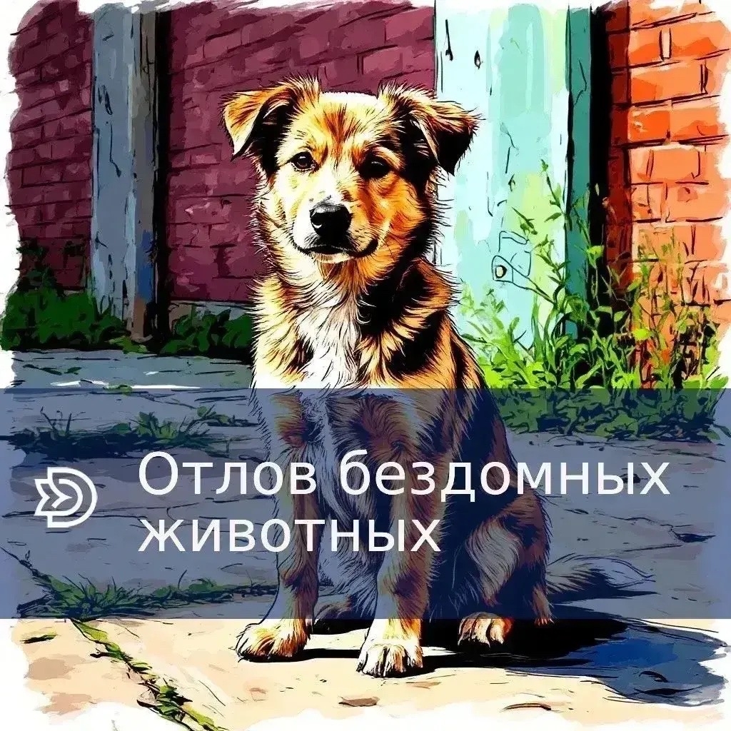 Отлов бездомных животных