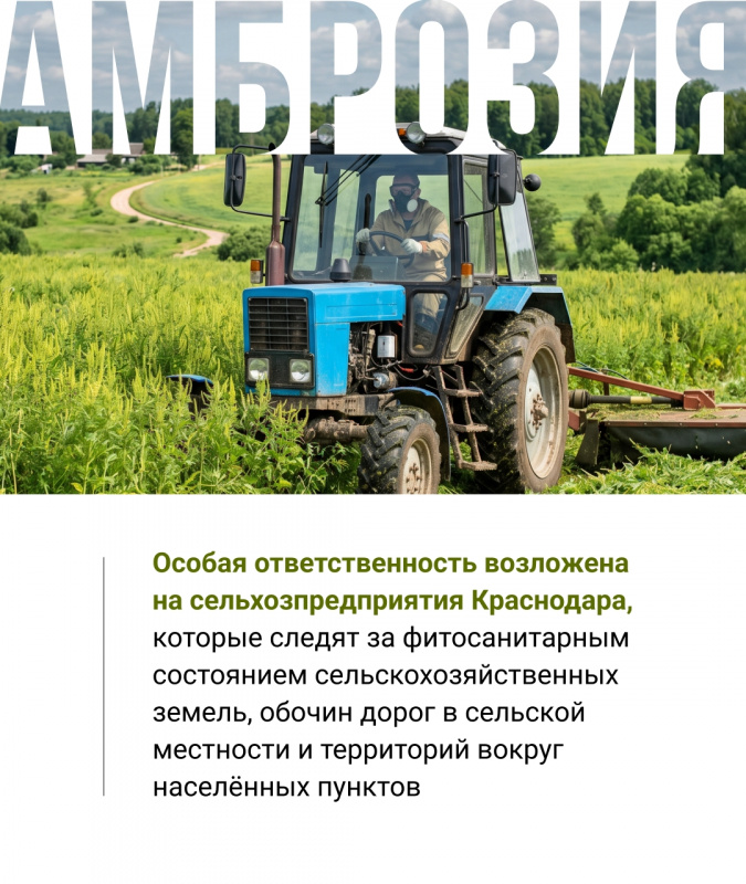 t_-UjakrdWPqXtT9qGLPtGggbXHn1_ZgishTjyo96Q-9MZe6COy-iLV2UzcHB2zKjimw9vN651VXzew5CUCUIaoh