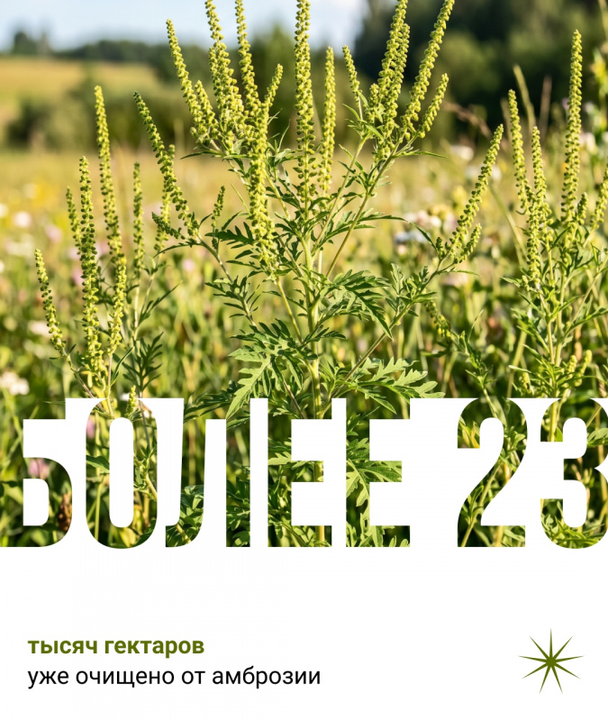 xXrumO5fUkppEPEyH3dkK5aBnYaR3CVZyy_kMwKyozkRQxFA8xEmrvOigmzjKOpyzwyIu9ZrFY9R8PqiikBCR4qu