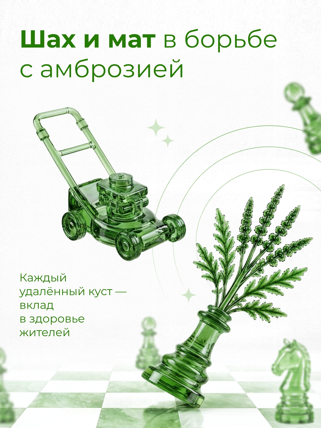 Амброзию легче остановить сегодня, чем бороться с её последствиями завтра