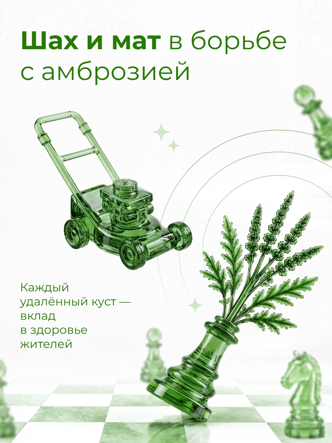 Амброзию легче остановить сегодня, чем бороться с её последствиями завтра