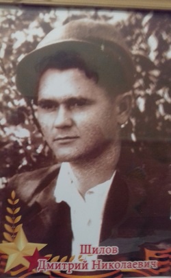 Шилов Д.Н.